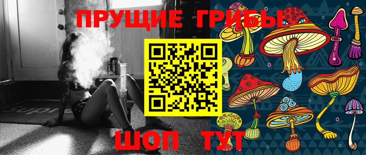 Красноярск  наркота  Вход с VPN  Псилоцибиновые грибы прущие грибы 